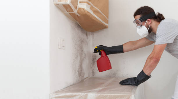 Professional Commercial Mold Remediation technician working in Honey Grove, TX