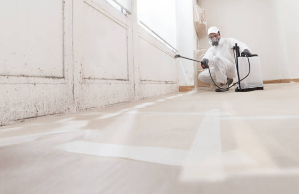 24/7 Emergency Commercial Mold Remediation experts in Honey Grove, TX